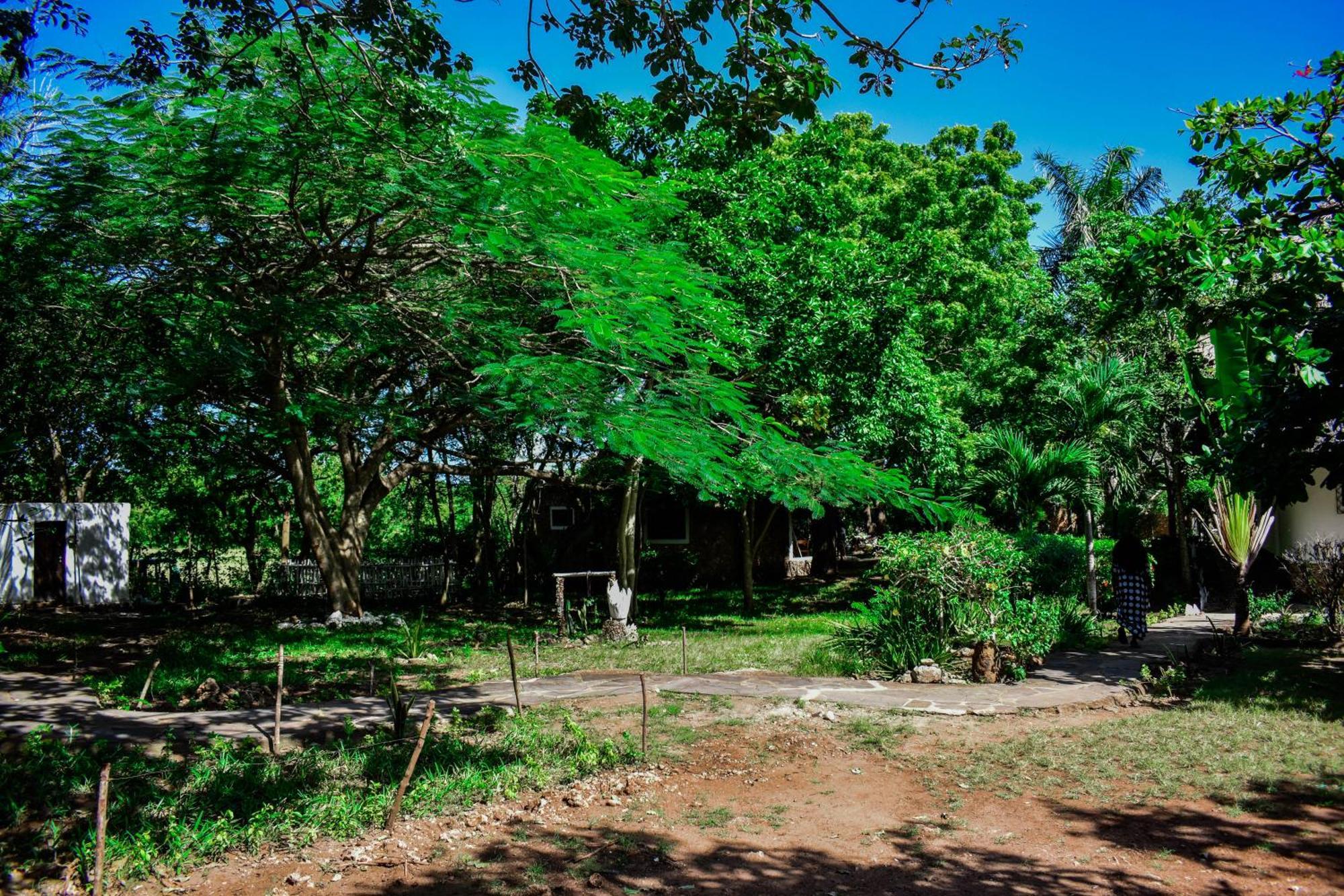 דיאני ביץ' African Hut Tiny Cottage מראה חיצוני תמונה