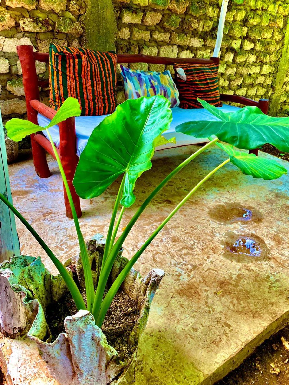 דיאני ביץ' African Hut Tiny Cottage מראה חיצוני תמונה