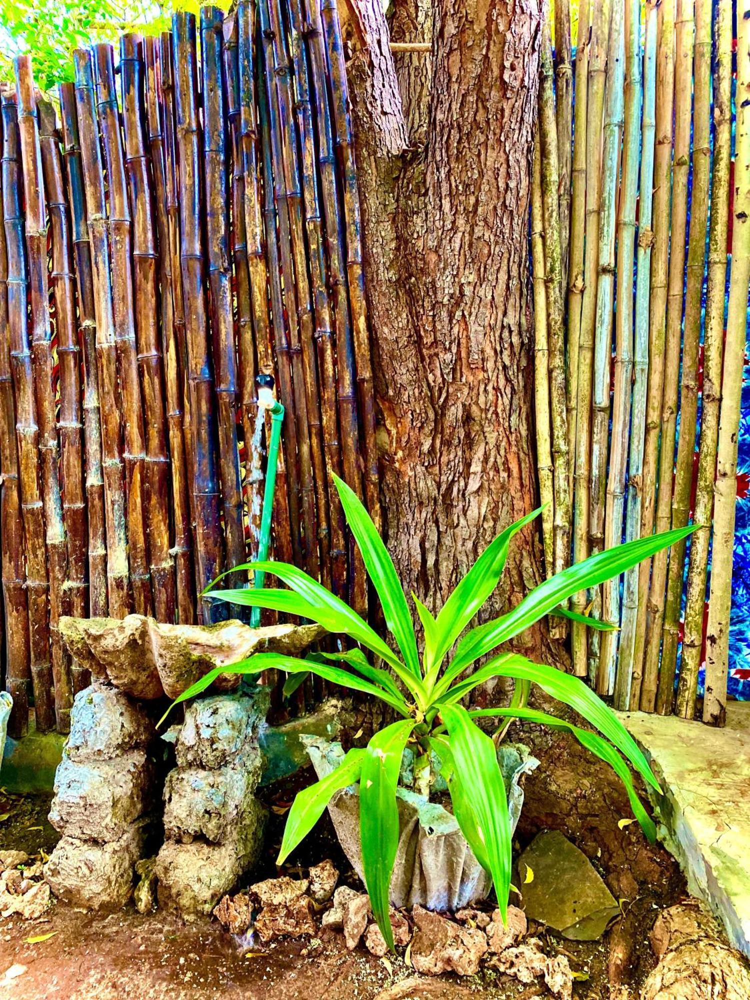 דיאני ביץ' African Hut Tiny Cottage מראה חיצוני תמונה